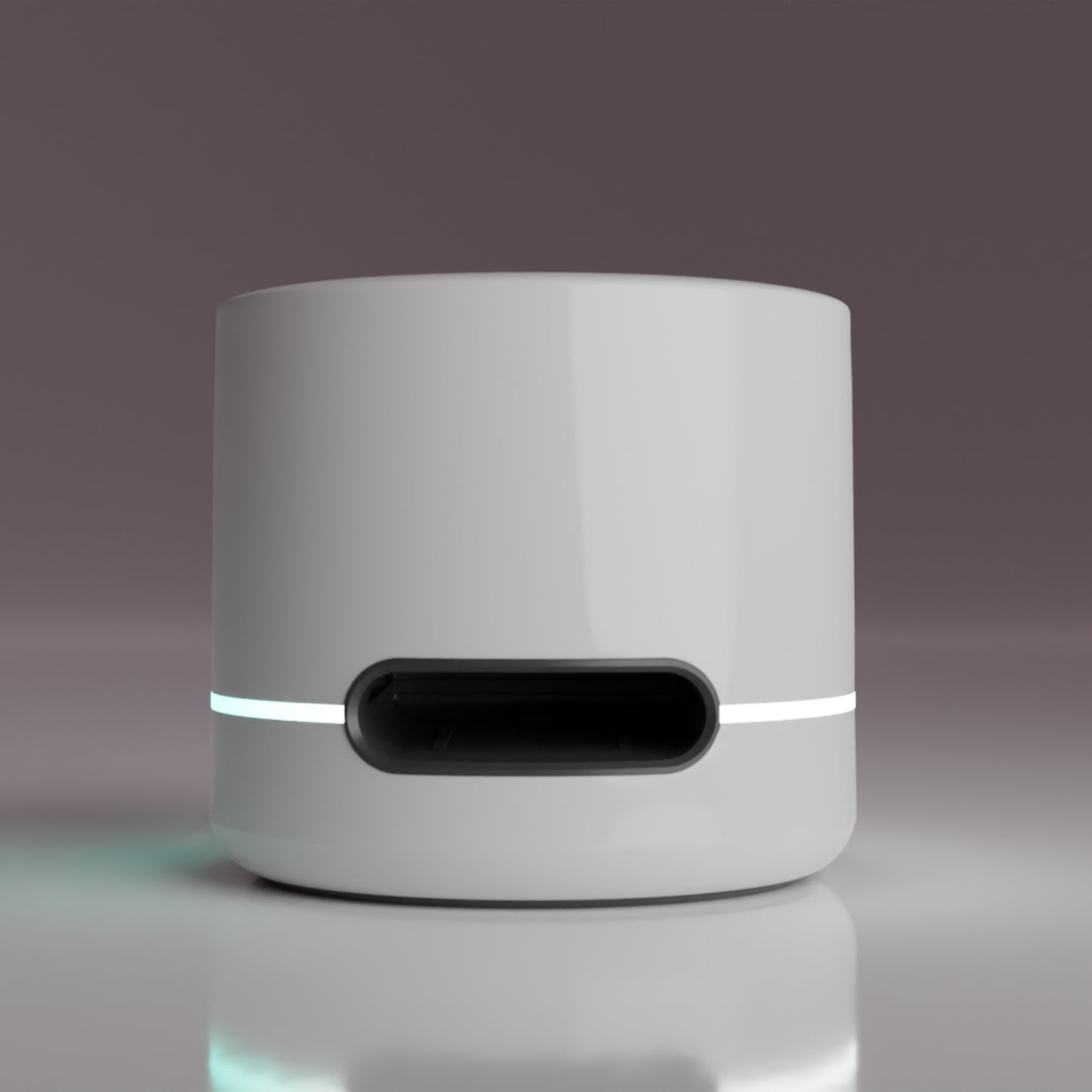 Igloo Multireader